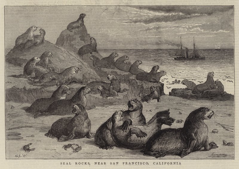Seal Rocks, San Francisco közelében, Kaliforniában alkotó: Samuel Edmund Waller