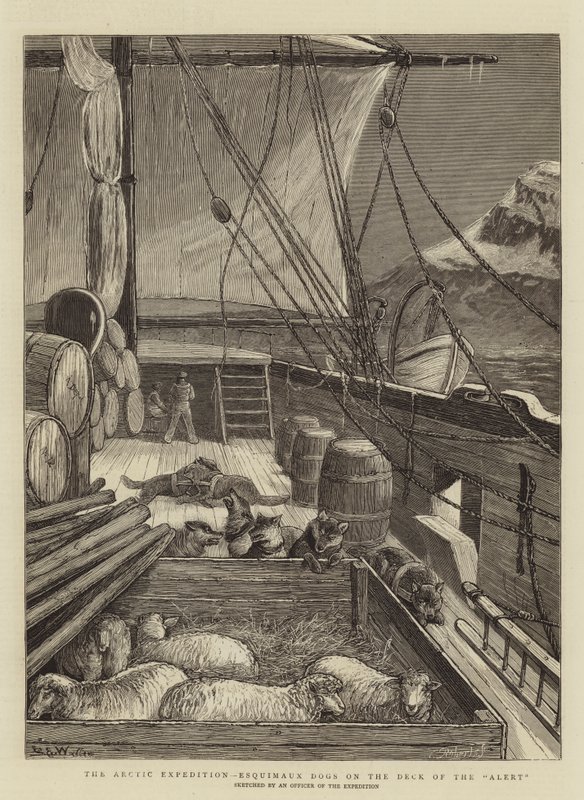 A sarkvidéki expedíció, Esquimaux kutyák a riadó fedélzetén alkotó: Samuel Edmund Waller
