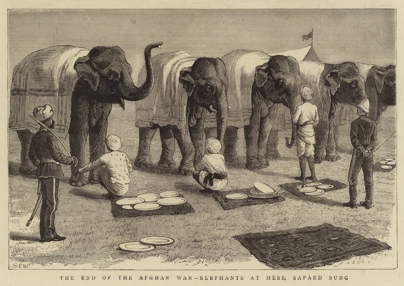 Az afgán háború vége, Elephants at Mess, Safaed Sung alkotó: Samuel Edmund Waller