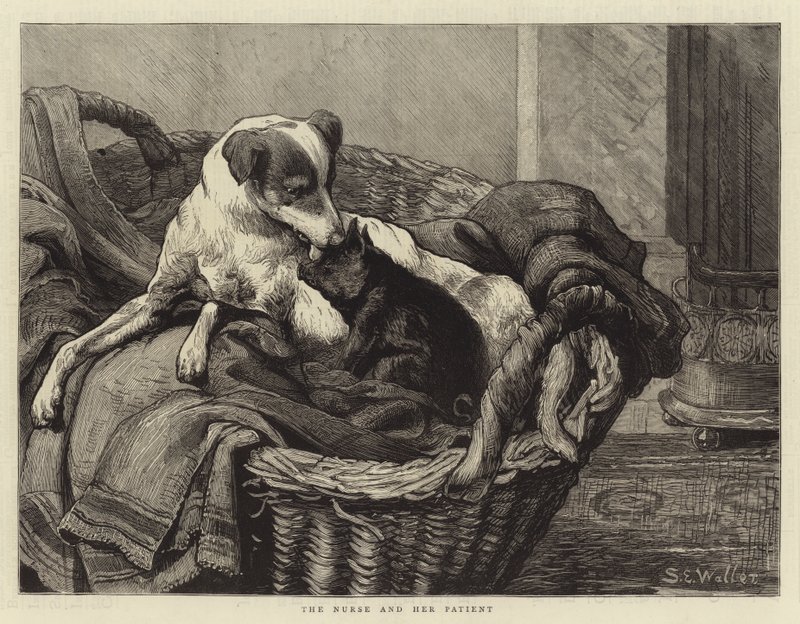 A nővér és a beteg alkotó: Samuel Edmund Waller
