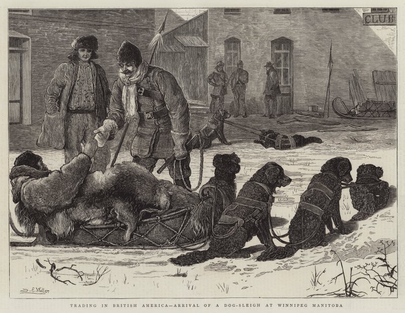 Kereskedés Brit-Amerikában, egy kutyaszán érkezése Winnipeg Manitobába alkotó: Samuel Edmund Waller