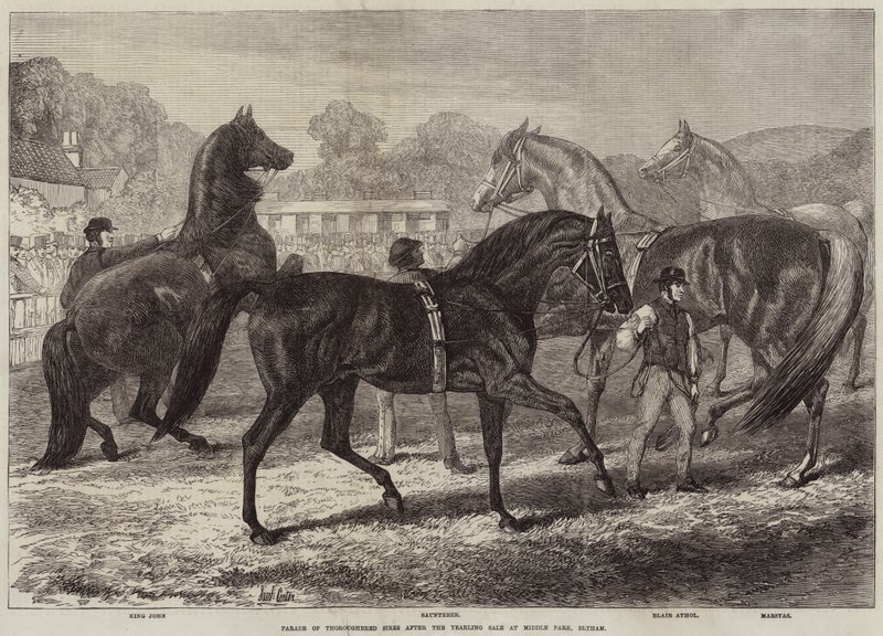 A telivér tenyészkanok felvonulása az Eltham-i Middle Parkban tartott yearling sale után alkotó: Samuel John Carter