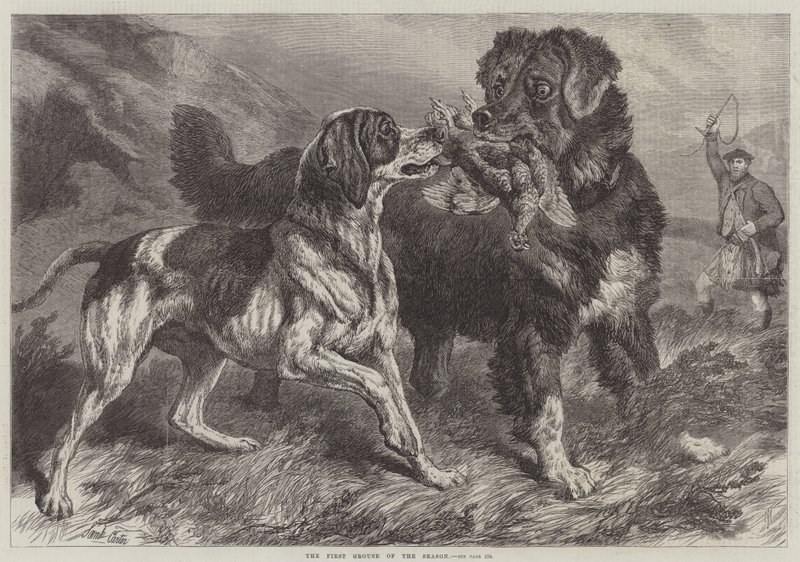 A szezon első fajdja alkotó: Samuel John Carter