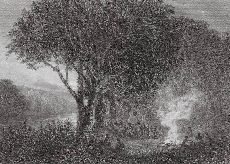 Ausztrália: Murray partján (metszet). alkotó: Samuel (after) Prout