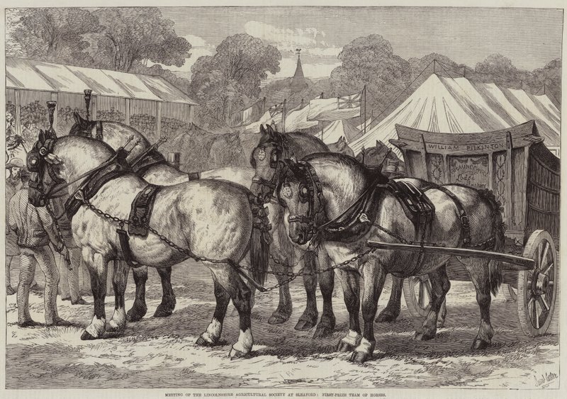 A Lincolnshire Mezőgazdasági Társaság találkozója Sleafordban, első díjas lovascsapat alkotó: Samuel John Carter