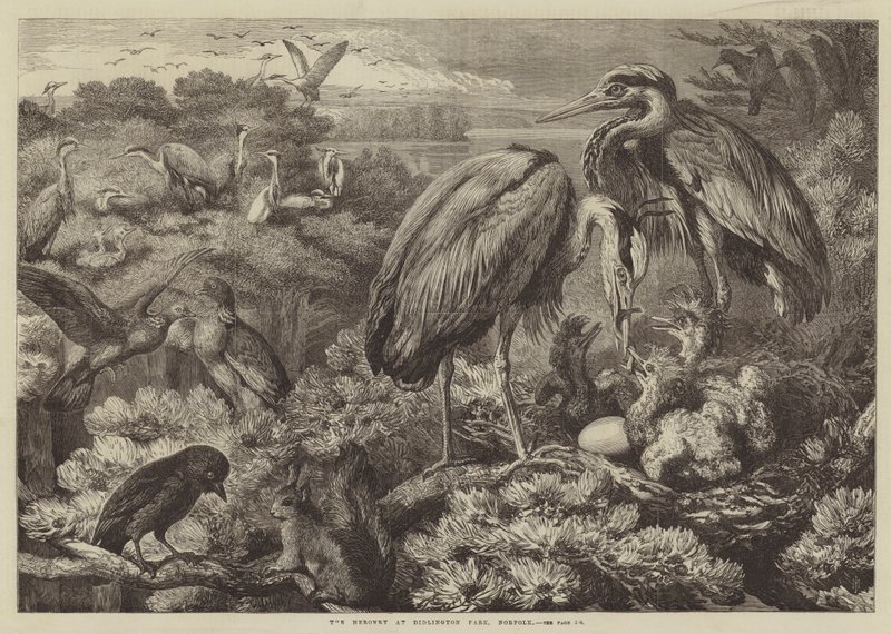 A Heronry a Didlington Parkban, Norfolkban alkotó: Samuel John Carter