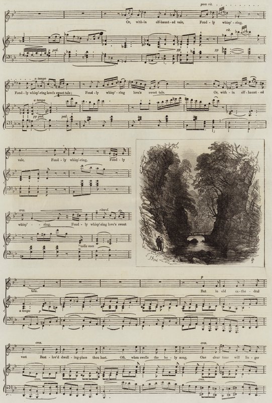 Visszhang alkotó: Samuel Read