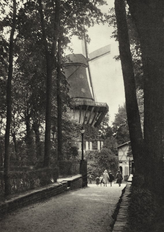 Potsdam, történelmi szélmalom Sanssouciban; Történelmi szélmalom Sanssouciban (f/w fotó) alkotó: Sasha Stone