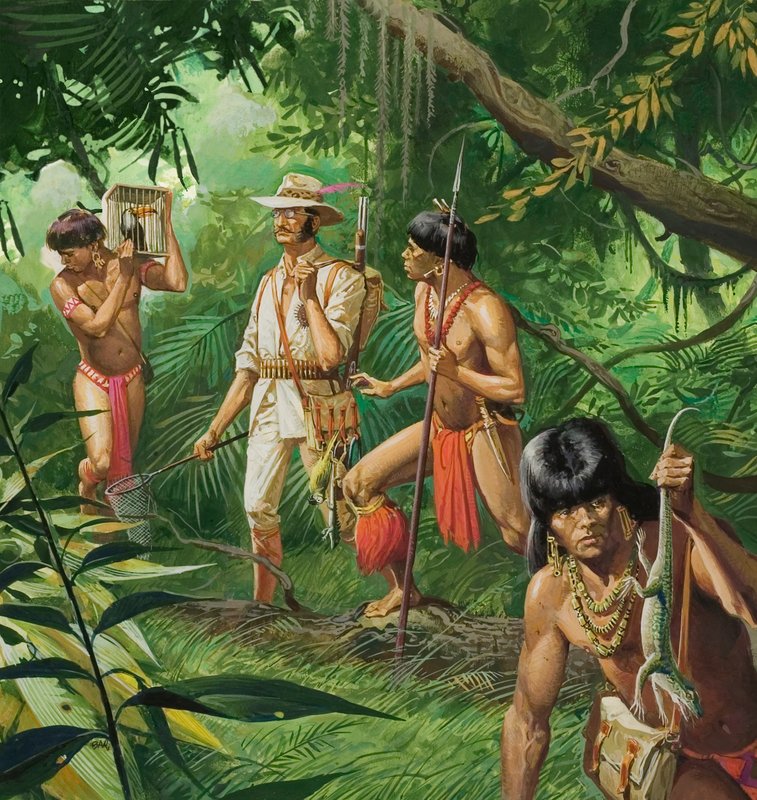 Henry Bates, az Amazonas-medence felfedezője alkotó: Severino Baraldi