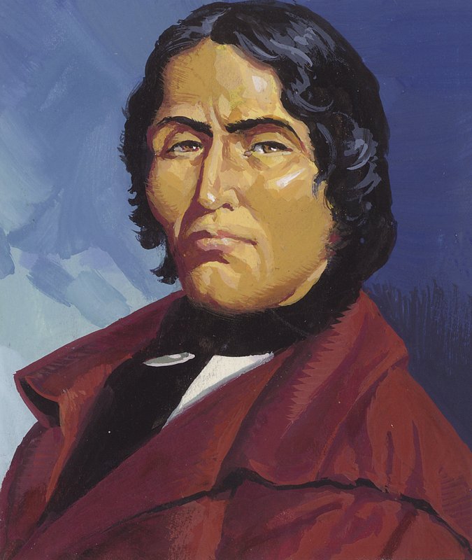 Tecumseh (gouache, papír) alkotó: Severino Baraldi