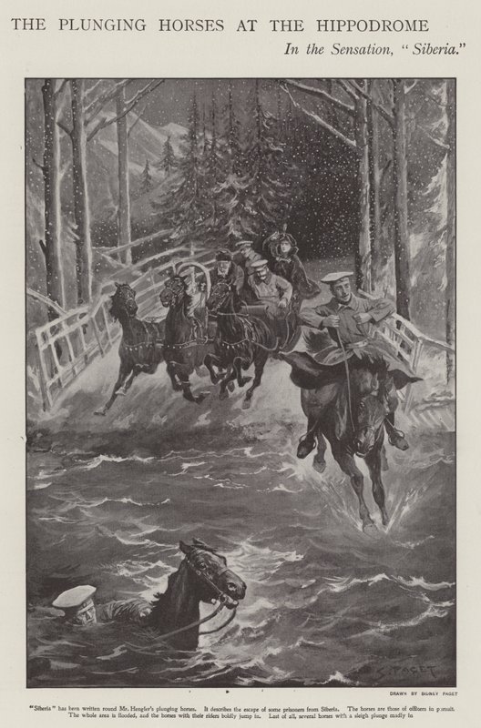 Merülő lovak Szibériában, előadás a londoni Hippodrome-on (litho) alkotó: Sidney Paget