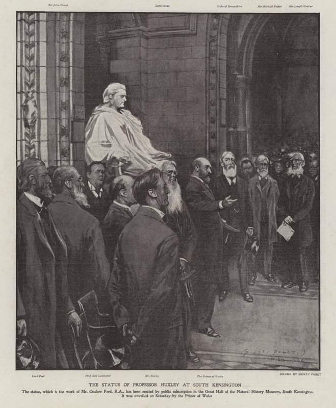 Thomas Henry Huxley professzor szobra a Natural History Museum nagytermében, South Kensington, London (litho) alkotó: Sidney Paget