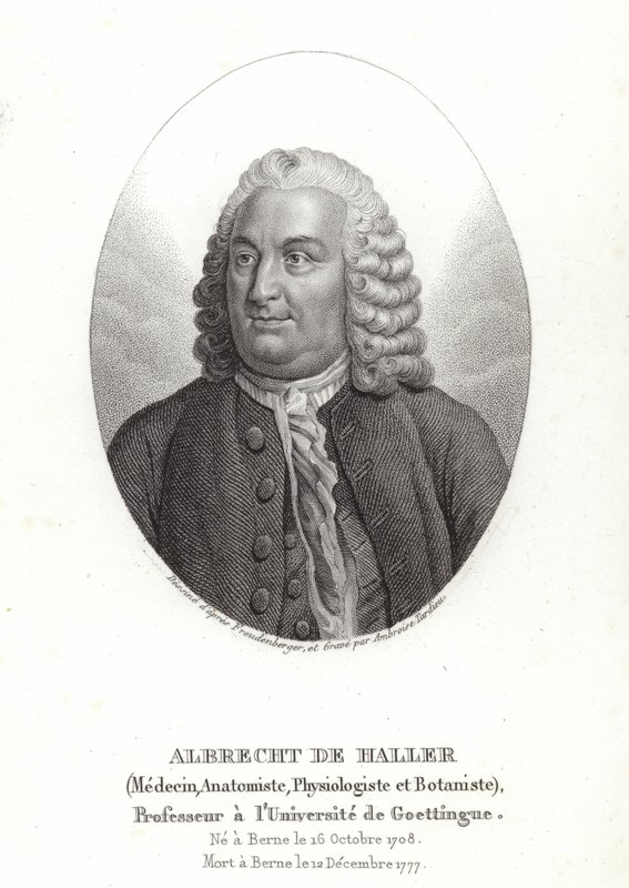 Albrecht von Haller alkotó: Sigmund Freudenberger