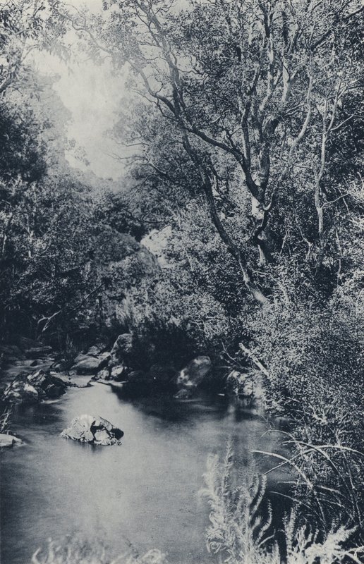 Tündérjelenet, Witpoortje közelében (f/w fotó) alkotó: South African Photographer