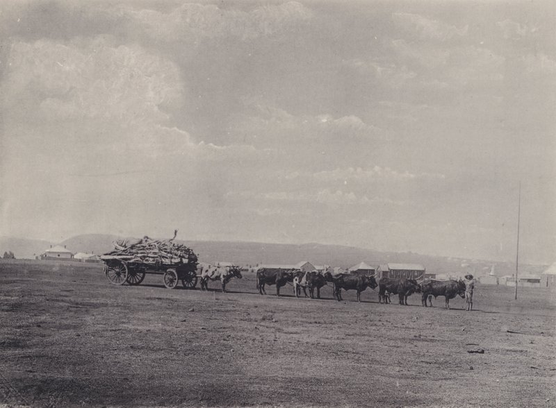 Egy Ox-Wagon (f/w fotó) alkotó: South African Photographer
