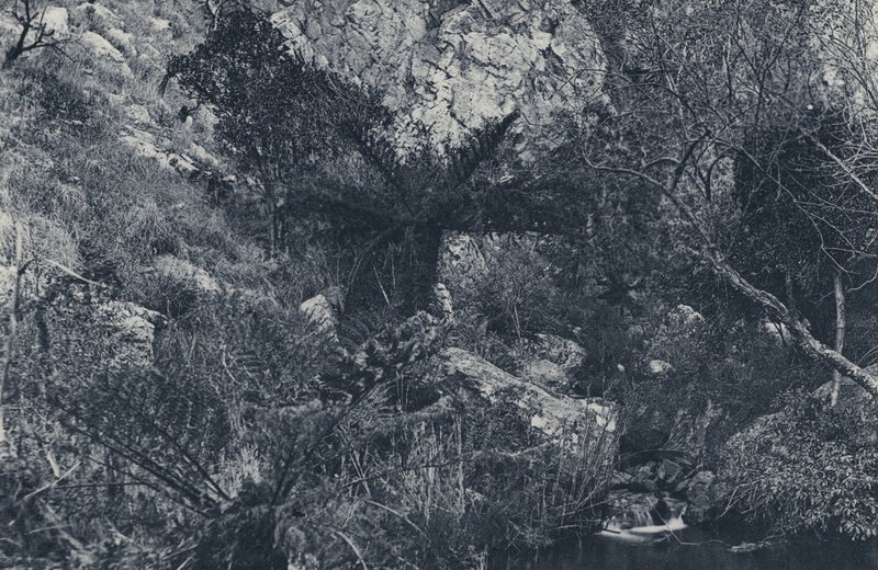 A Witpoortje Kloofban (f/w fotó) alkotó: South African Photographer