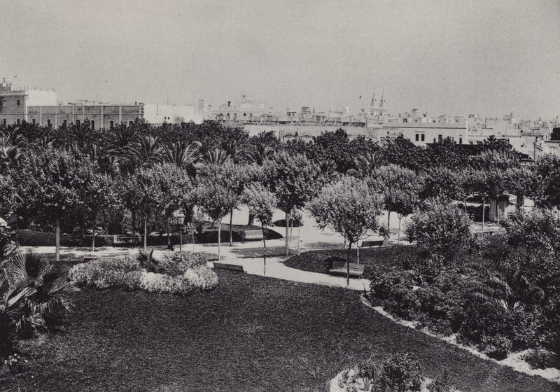 Cadiz: Parque Genoves (f/w fotó) alkotó: Spanish Photographer
