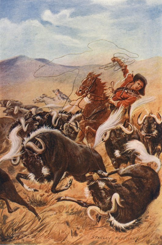 Cowboy lasszóval muskotályt fog (színes litográfia) alkotó: Stanley (after) Berkeley
