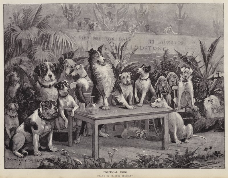 Politikai kutyák (litho) alkotó: Stanley (after) Berkeley