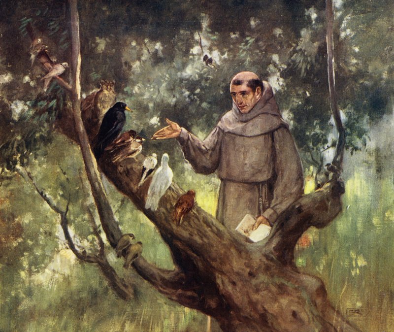 Szent Ferenc prédikál a madaraknak (színes litó) alkotó: Stephen Reid