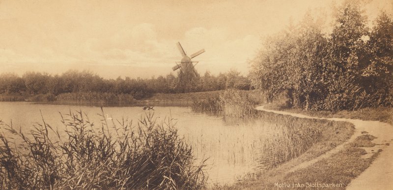 Malmö: Motívum a Slottsparkenből (fekete-fehér fotó) alkotó: Swedish Photographer