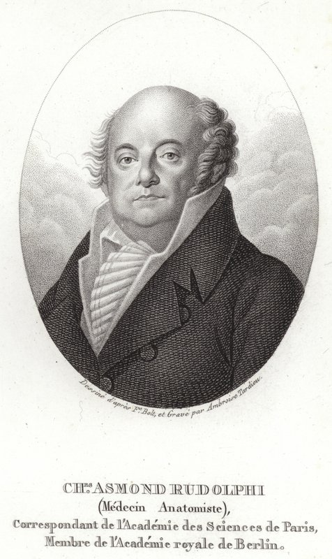 Karl Asmund Rudolphi alkotó: Swedish School