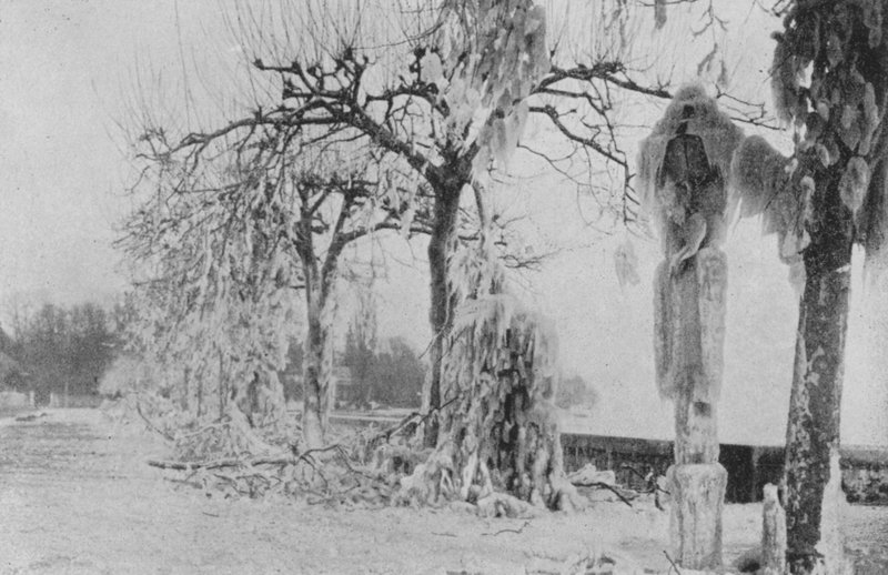 A genfi ​​Paquisban, 1896 télen (f/w fotó) alkotó: Swiss Photographer