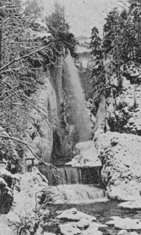A Taubenloch Gorges, Biel közelében télen (f/w fotó) alkotó: Swiss Photographer