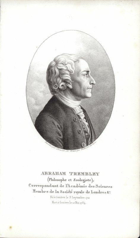 Abraham Trembley alkotó: Swiss School