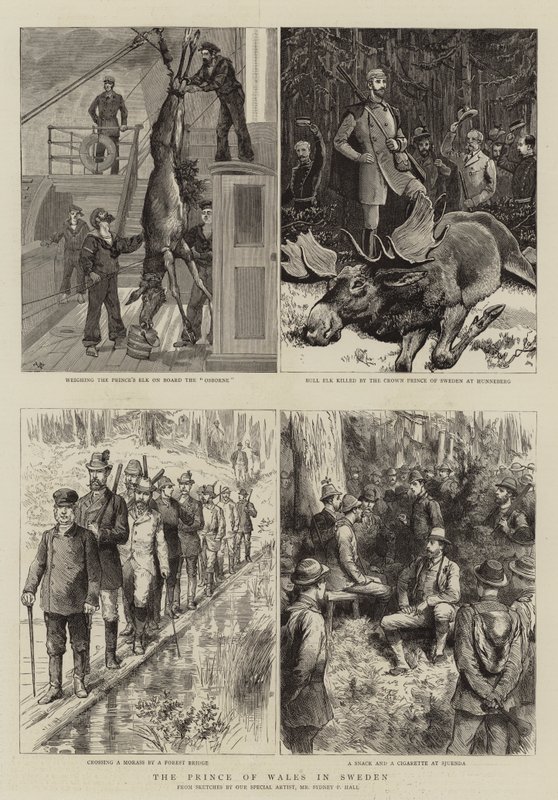 A walesi herceg Svédországban alkotó: Sydney Prior Hall