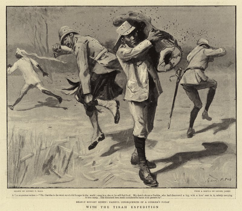A Tirah-expedícióval alkotó: Sydney Prior Hall