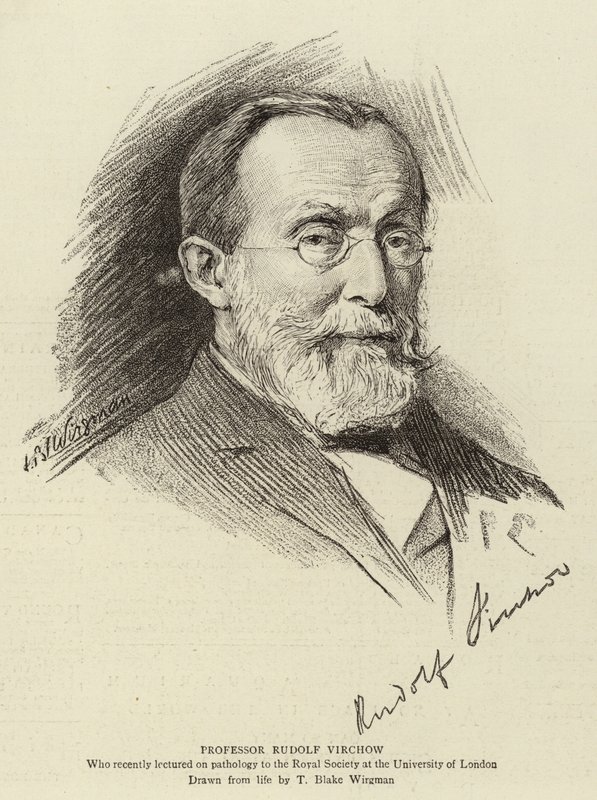 Rudolf Virchow professzor alkotó: Theodore Blake Wirgman