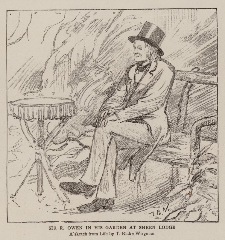 Sir R Owen a Sheen Lodge kertjében alkotó: Theodore Blake Wirgman