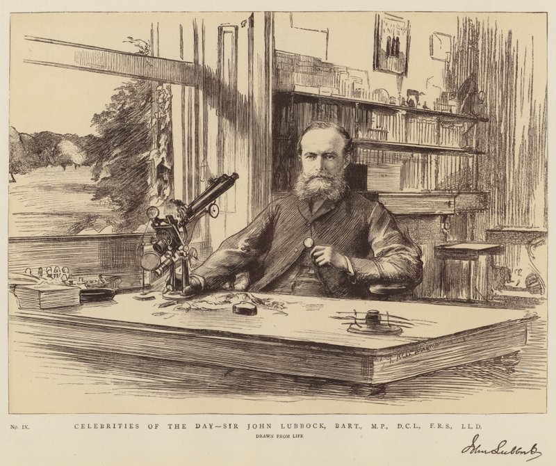 A nap hírességei, Sir John Lubbock, Baronet, parlamenti képviselő, DCL, FRS, LLD alkotó: Theodore Blake Wirgman