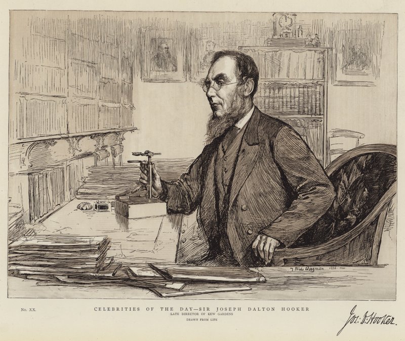 A nap hírességei, Sir Joseph Dalton Hooker alkotó: Theodore Blake Wirgman