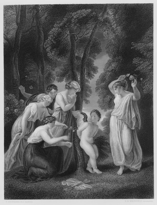 Cupido Bound, a Vernon Gallery képéről alkotó: Thomas Stothard