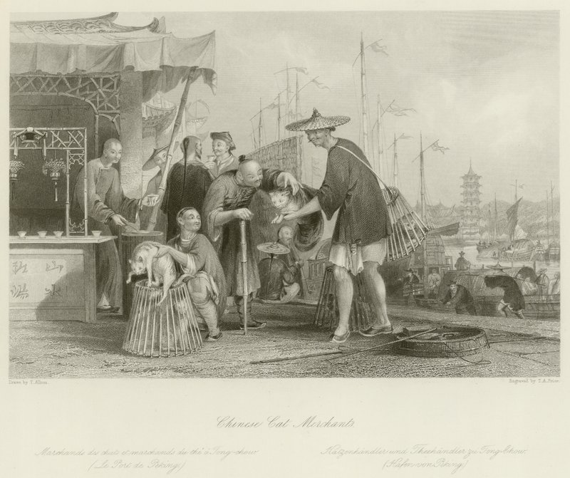 Kínai macskakereskedők alkotó: Thomas Allom