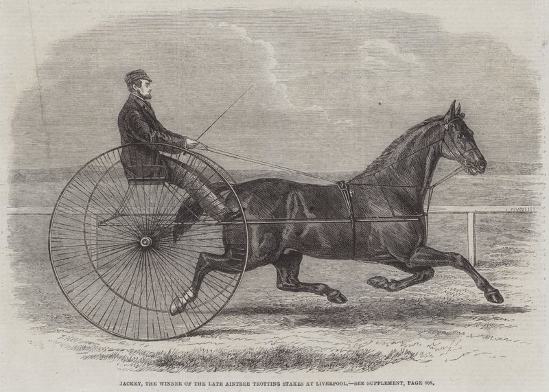Jackey, a néhai Aintree Trotting Stakes győztese Liverpoolban alkotó: Thomas Harrington Wilson