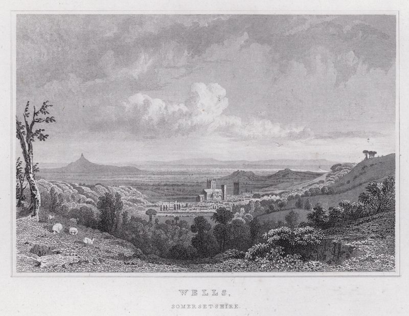 Wells, Somersetshire (metszet) alkotó: Thomas Hosmer Shepherd