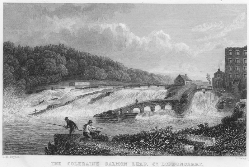 The Coleraine Salmon Leap, Londonderry megye (metszet) alkotó: Thomas Mann (after) Baynes