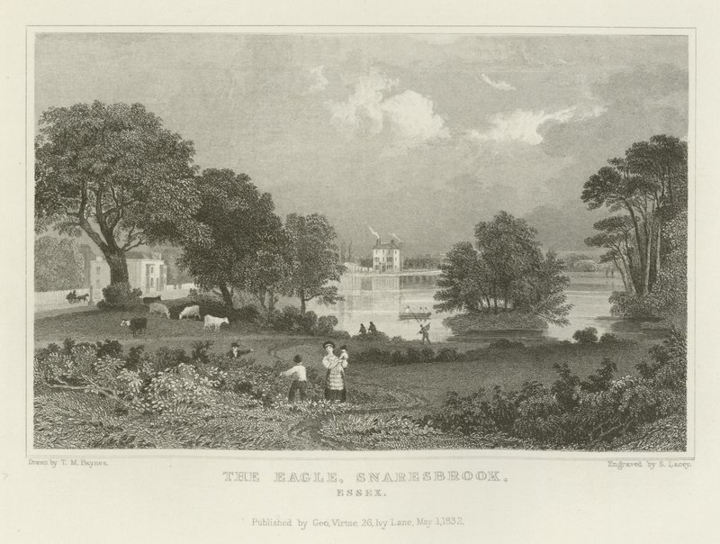 The Eagle, Snaresbrook, Essex alkotó: Thomas Mann Baynes