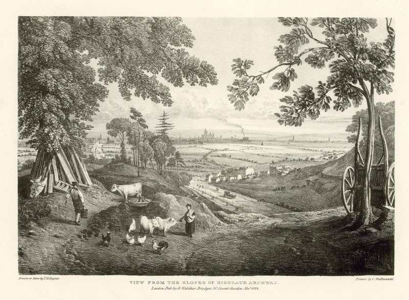 Kilátás a Highgate Archway lejtőiről alkotó: Thomas Mann Baynes