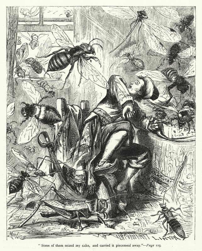 Illusztráció a Gulliver utazásaihoz, Jonathan Swift (metszet) alkotó: Thomas Morten