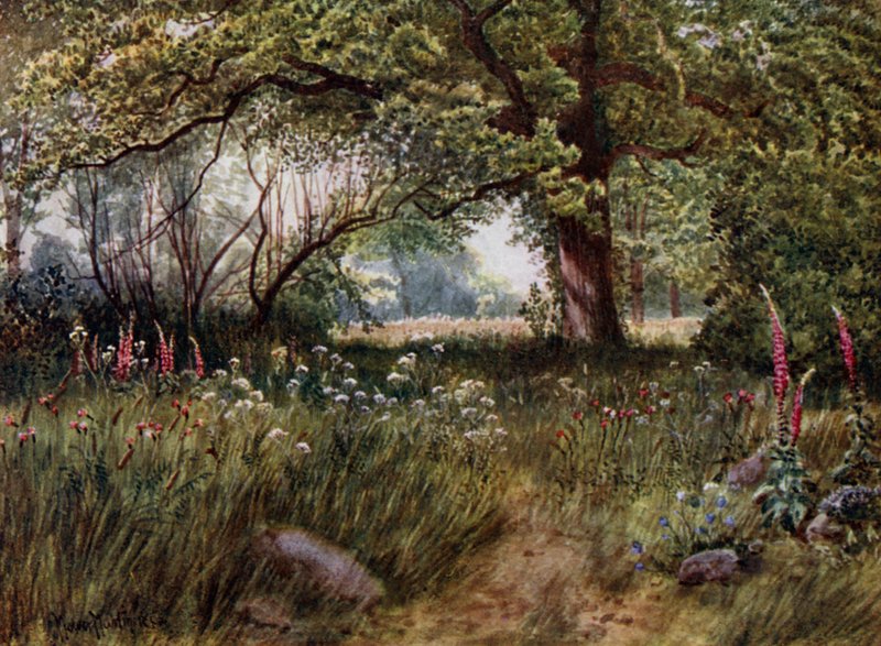 Kew Gardens: A Queen
