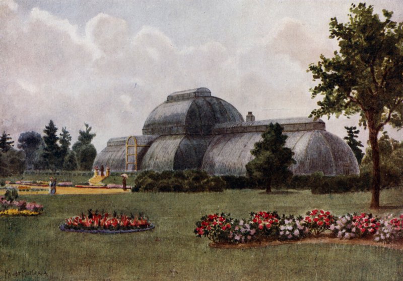 Kew Gardens: The Palm House (színes litho) alkotó: Thomas Mower Martin
