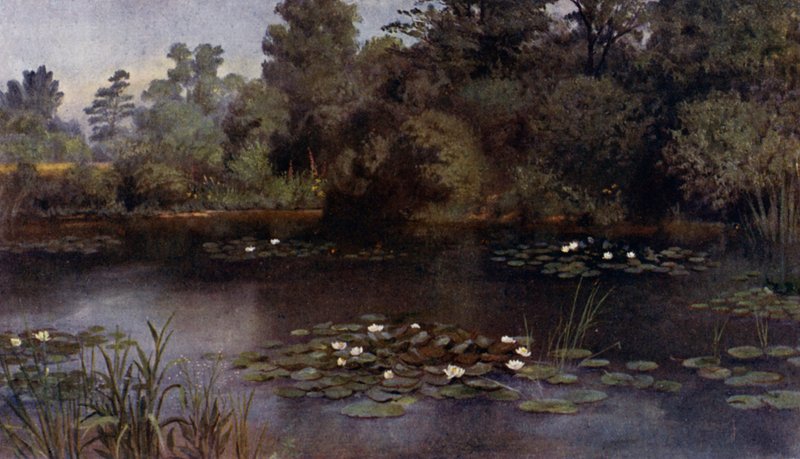 Kew Gardens: A tavirózsa-tó (színes litó) alkotó: Thomas Mower Martin