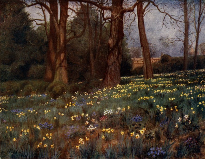 Kew Gardens: A vad kert tavasszal (színes litó) alkotó: Thomas Mower Martin