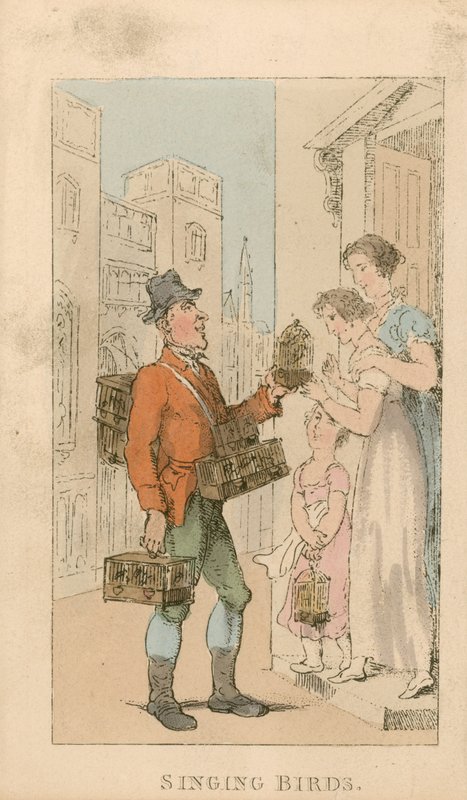 Éneklő madarak alkotó: Thomas Rowlandson