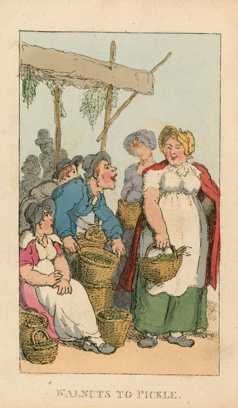 Dió pácoláshoz alkotó: Thomas Rowlandson
