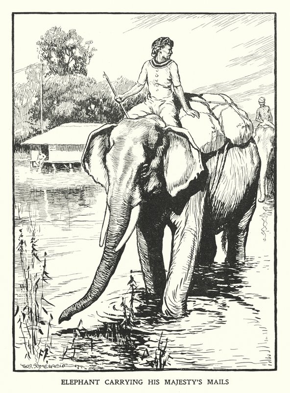 Őfelsége postáját szállító elefánt (litho) alkotó: Thomas Somerfield